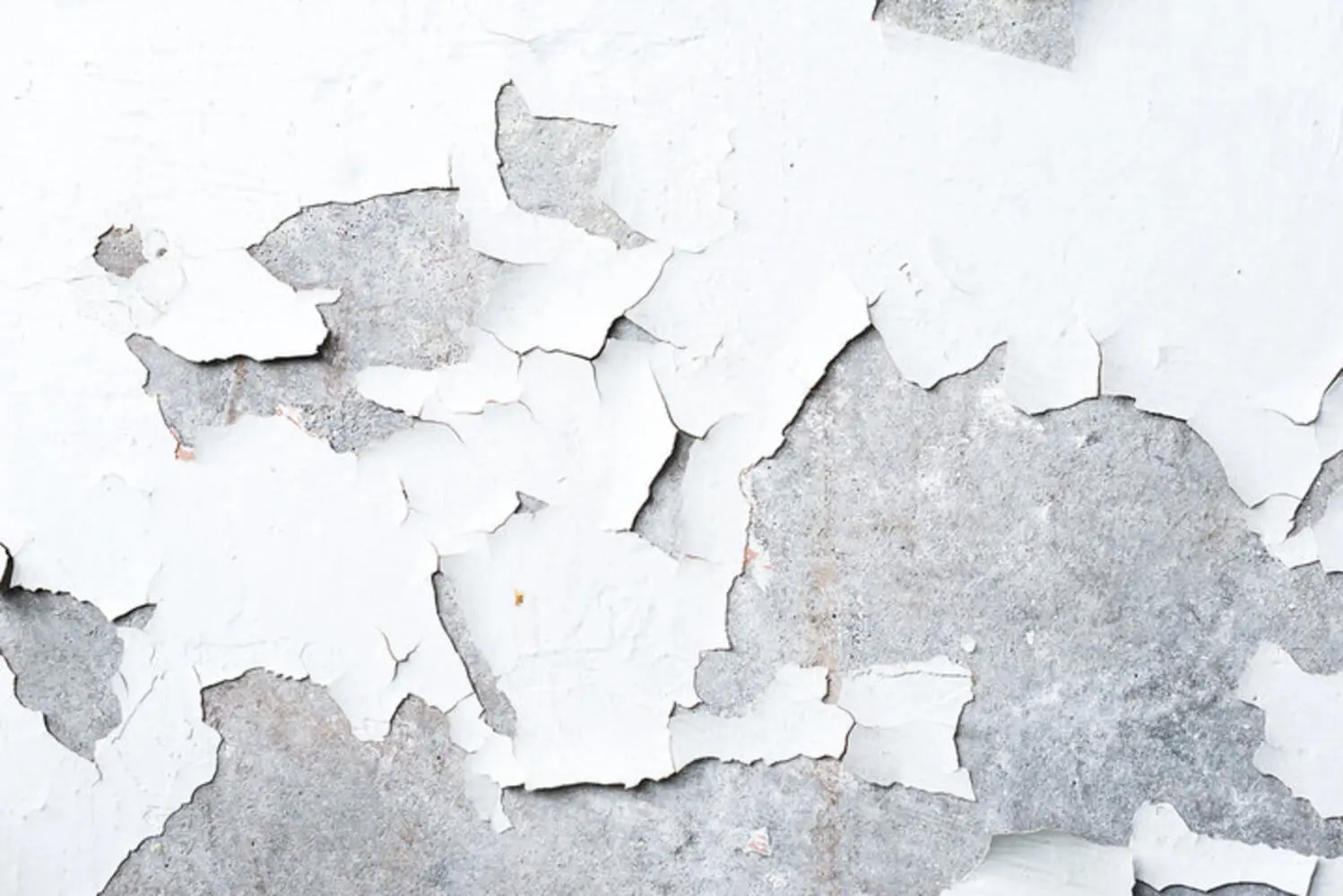 White interior wall paint peeling and flaking away from the surface